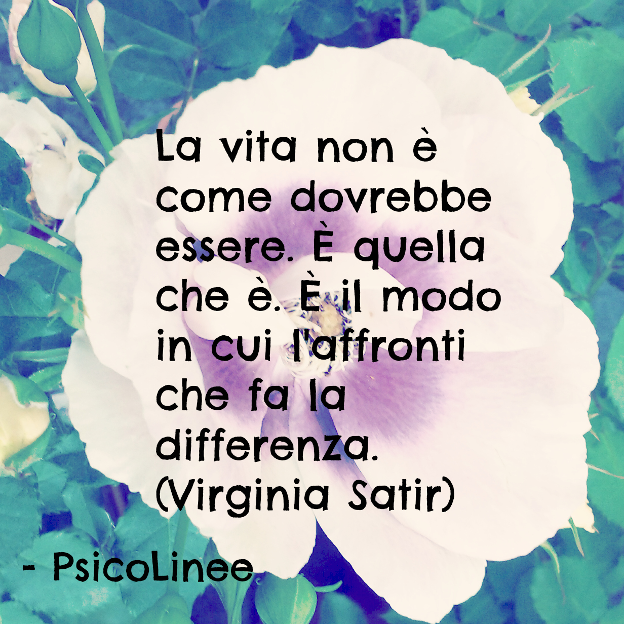 Frasi su donne e lavoro, image size:1232x1232